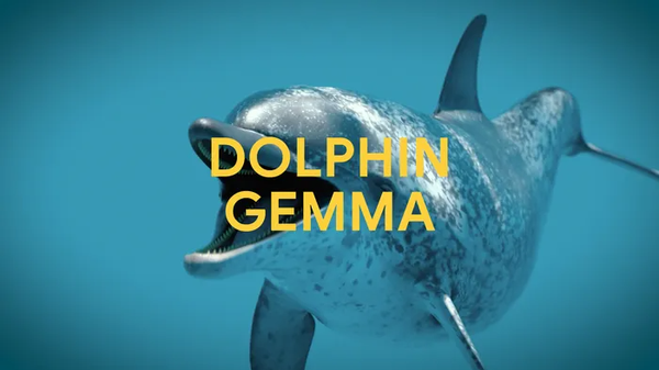 Google'dan Yunusları Anlayan Yapay Zeka: DolphinGemma